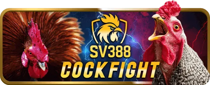 Khuyến mãi cá cược thể thao go666 casino