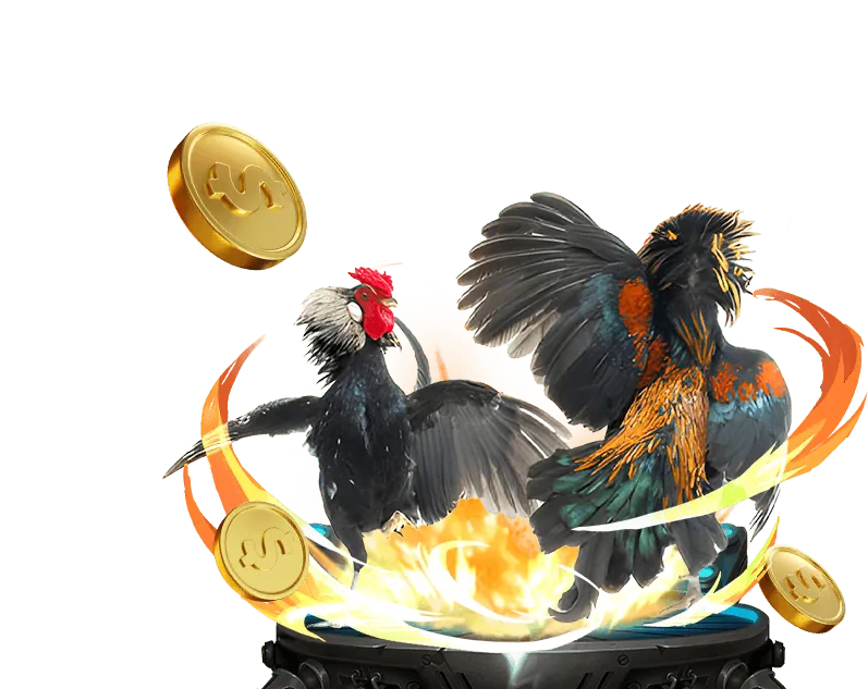 Ưu đãi hoàn trả thể thao hàng tuần cho người chơi go666 casino